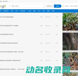 【PenJing8】